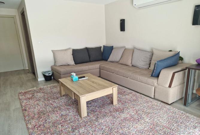 7990578 - Property Image 2