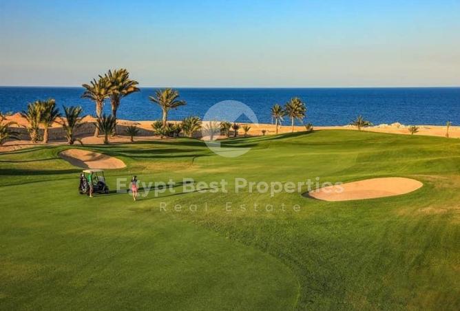 8541299 - Property Image 3