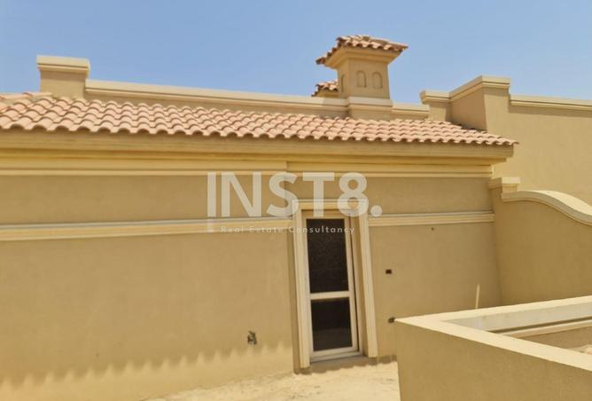 8137653 - Property Image 3