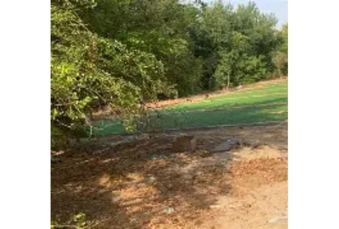 8448723 - صورة العقار 2