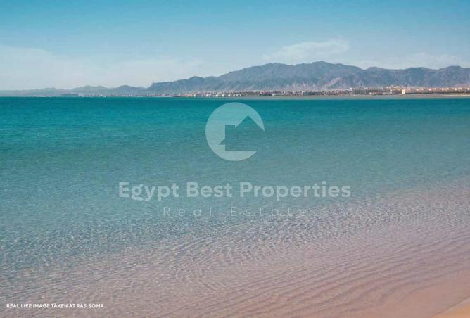 8228721 - Property Image 3