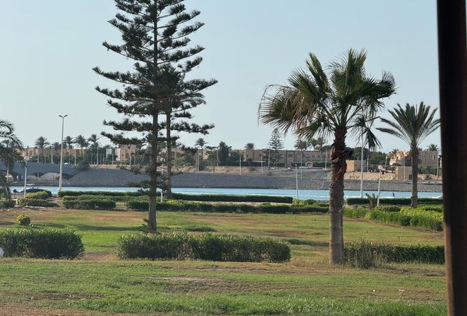 8025643 - صورة العقار 2