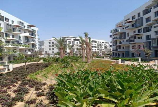 8176530 - الصورة الرئيسية للعقار