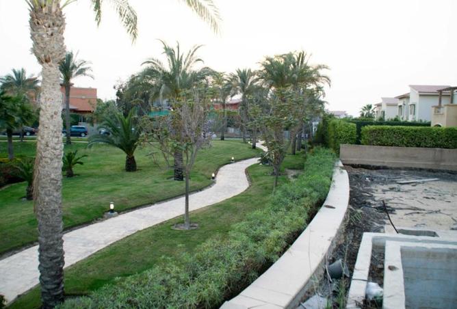 8090631 - صورة العقار 2