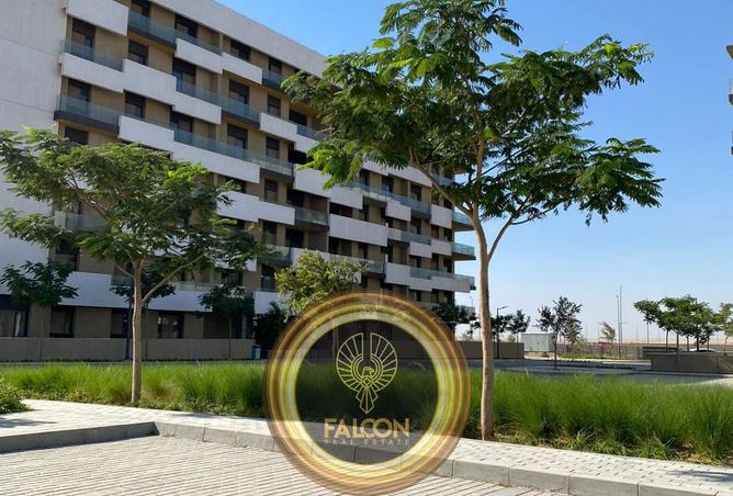 8411506 - صورة العقار 3