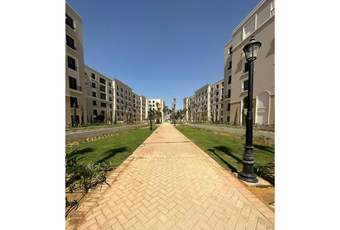 7988566 - Property Image 3