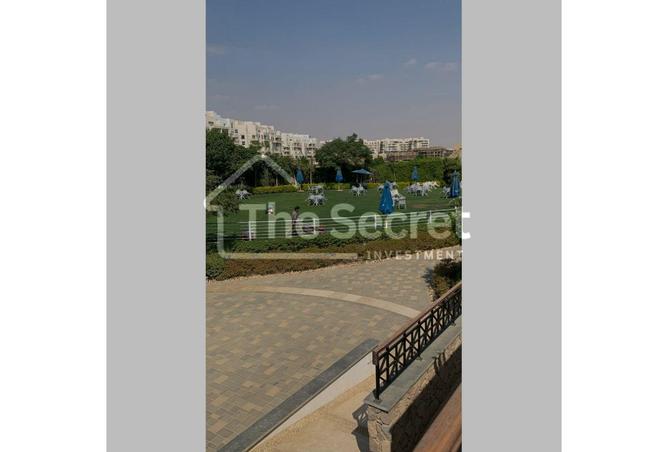 8511424 - Property Image 3