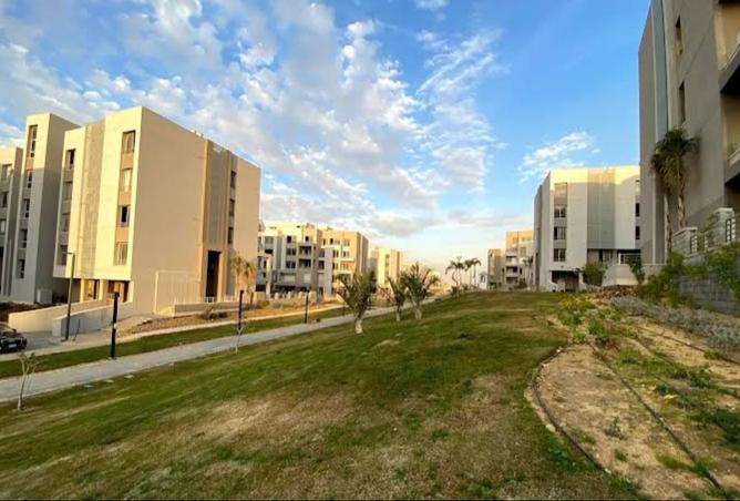8037132 - Property Image 3