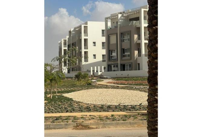 8486923 - صورة العقار 3