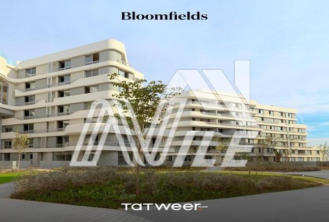 7983683 - Property Image 2