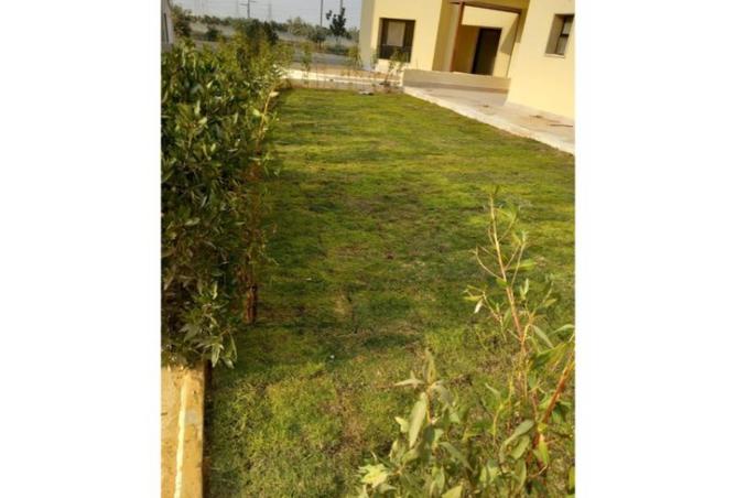 8136394 - Property Image 2