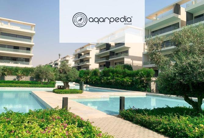 8151464 - Property Image 3