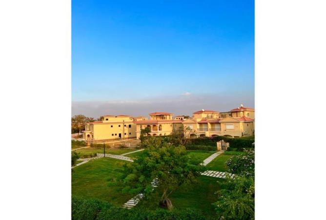 7982815 - الصورة الرئيسية للعقار
