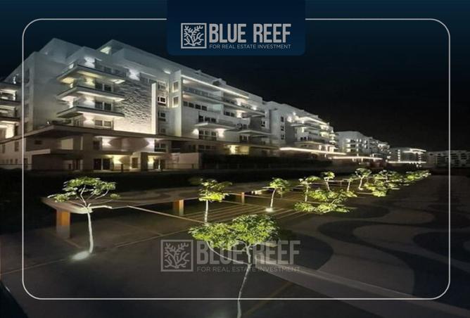 8472829 - Property Image 3