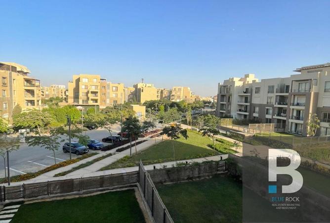 8262309 - Property Image 2