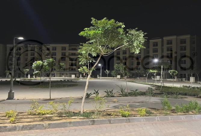 8148216 - Property Image 3