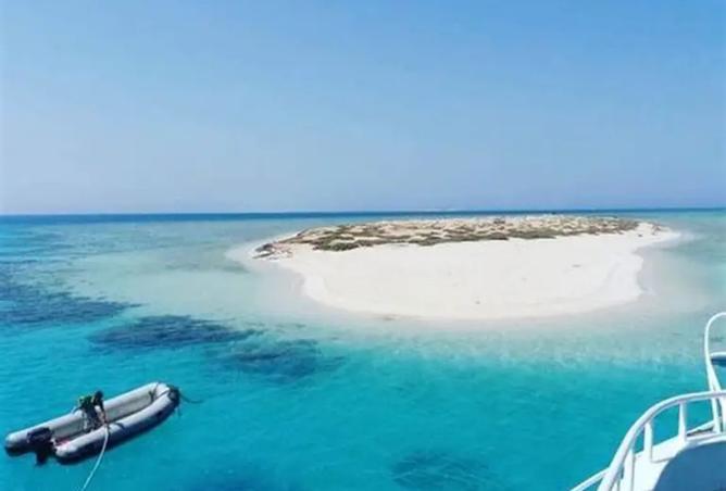 8395577 - صورة العقار 2