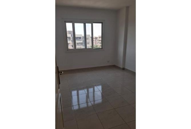 8073890 - Property Image 3