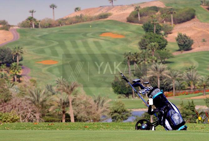 8157924 - صورة العقار 3