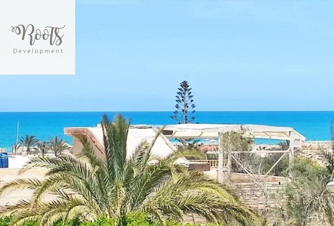 8176187 - Property Image 2