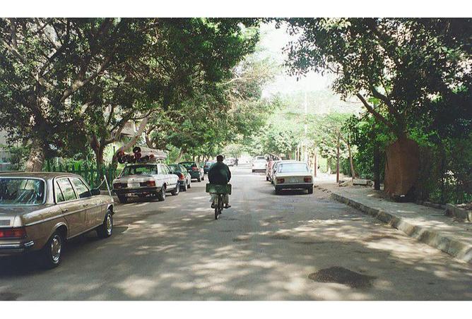 8272494 - صورة العقار 2