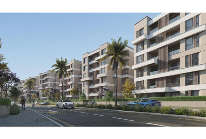 8171702 - Property Image 3