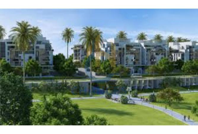 7975720 - Property Image 3