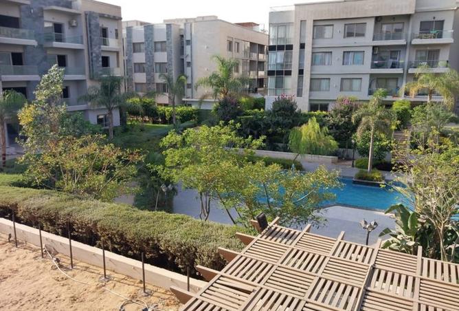 8040818 - Property Image 3
