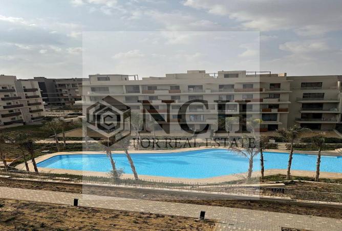 8149290 - Property Image 3