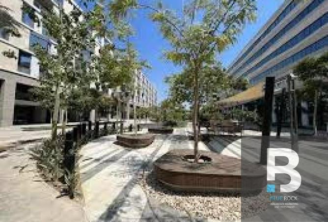 8017742 - Property Image 2