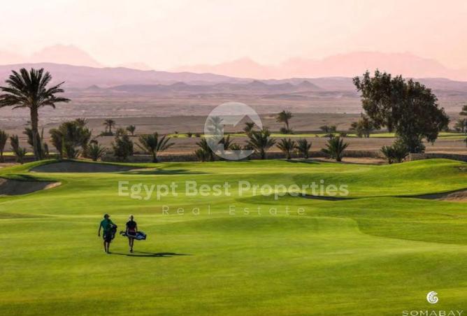 7962348 - صورة العقار 3