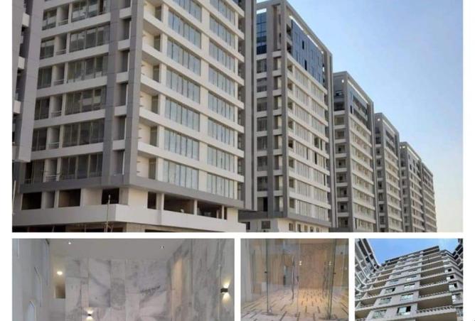 8477714 - Property Image 3