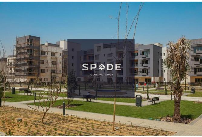 8431455 - Property Image 3