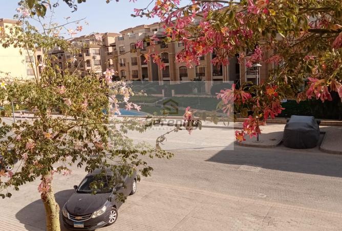 7393443 - صورة العقار 3