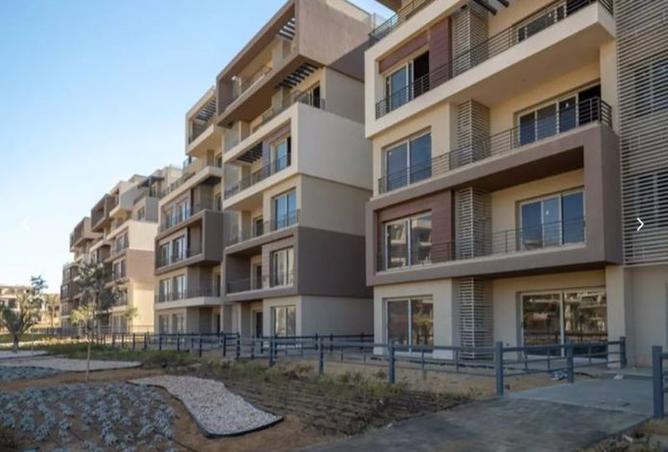 8413892 - Property Image 2