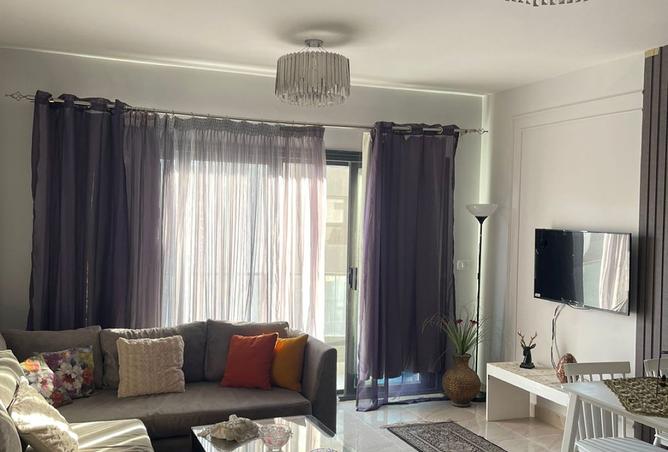 8427372 - Property Image 3