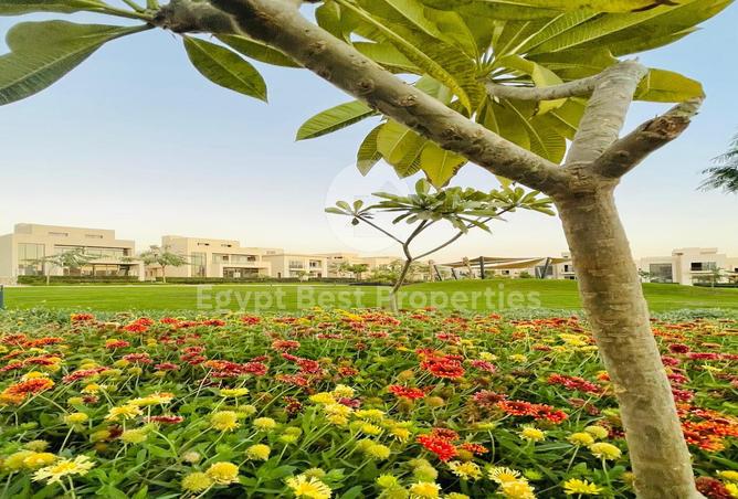 7977625 - صورة العقار 2