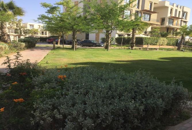 8163593 - صورة العقار 3