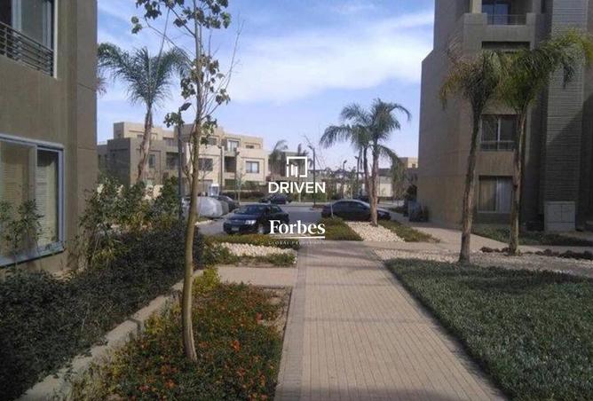 8234867 - Property Image 3