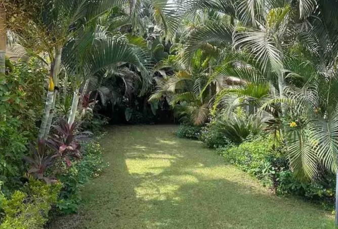 8344471 - Property Image 3