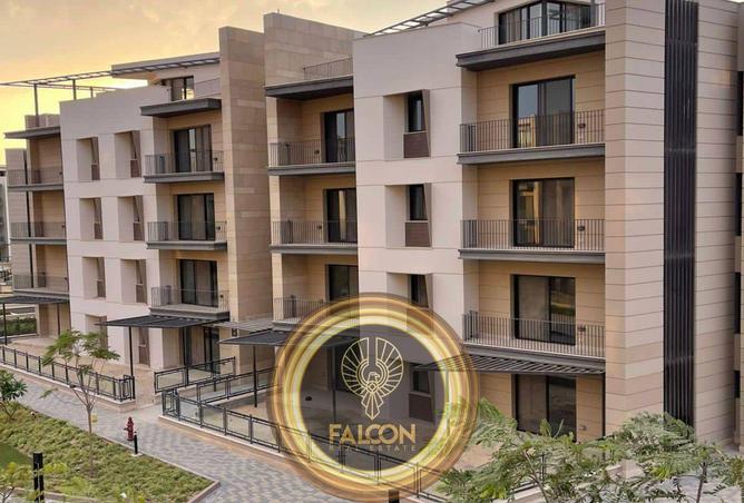 8428681 - Property Image 3