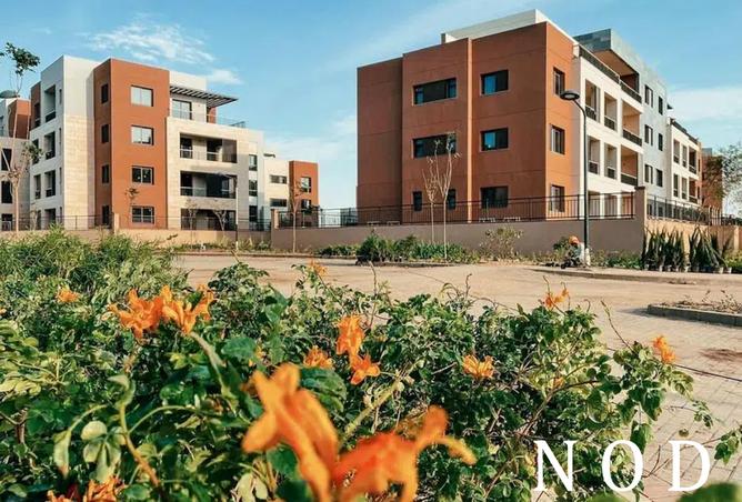 7687657 - Property Image 3