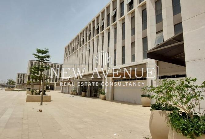 8438152 - Property Image 3