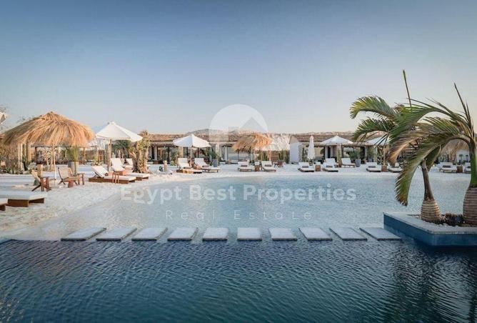 8506642 - Property Image 3