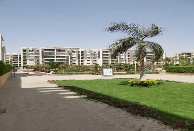 7966800 - صورة العقار 3