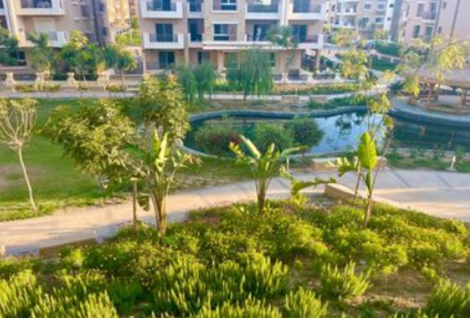 8405992 - صورة العقار 2