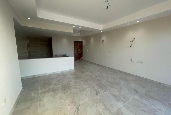 8156793 - Property Image 3