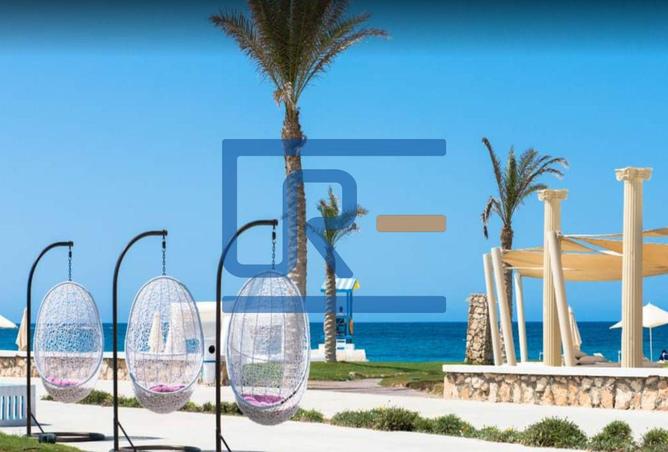 7952258 - صورة العقار 2