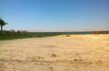 قطعة أرض - استوديو للبيع في مدينة الفيوم - الفيوم