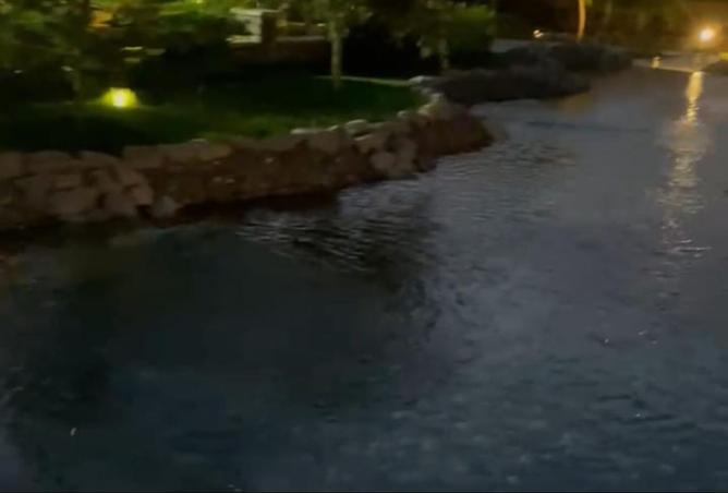 8256501 - Property Image 3